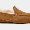 Hot Sale 🌟 UGG Men's Ascot Slipper 🤩