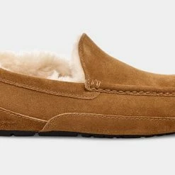 Hot Sale 🌟 UGG Men's Ascot Slipper 🤩