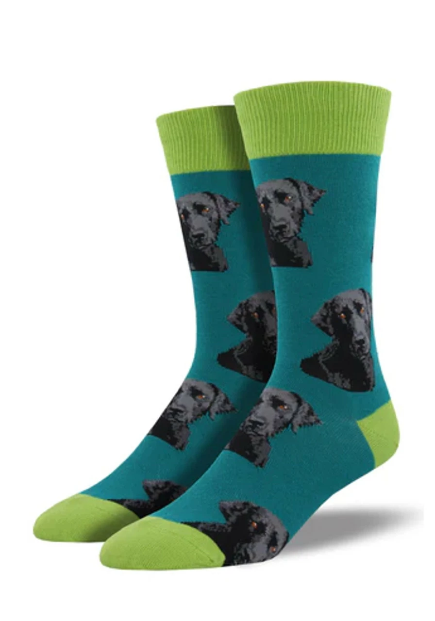 Top 10 π Socksmith Men's Lab Or Of Love 𧦠Socks - Teal π